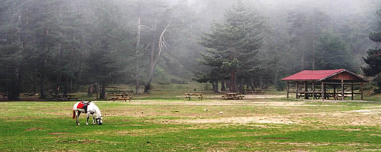 Tabiat Parkı - Abant