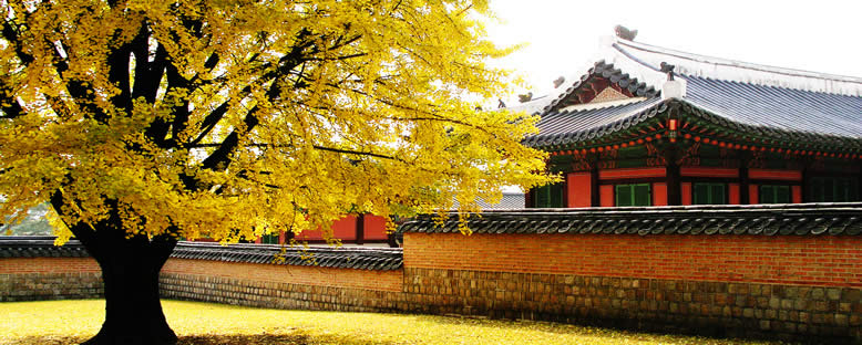 Gyeongbokgung Sarayı'nda Sonbahar - Seul
