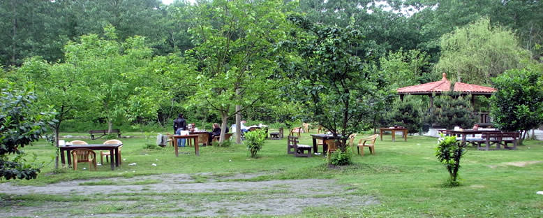 Piknik Alanları - Maşukiye