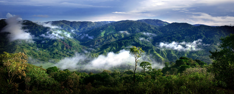 Chagres Ulusal Parkı - Panama