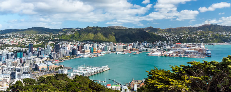 Liman Manzarası - Wellington