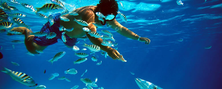 Su Altı - Cozumel