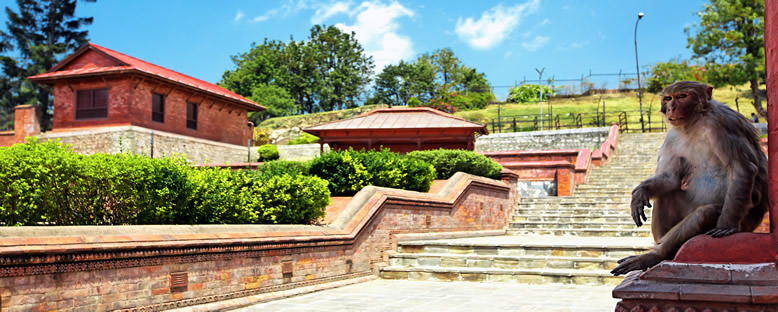 Pashupatinath Tapınağı - Katmandu