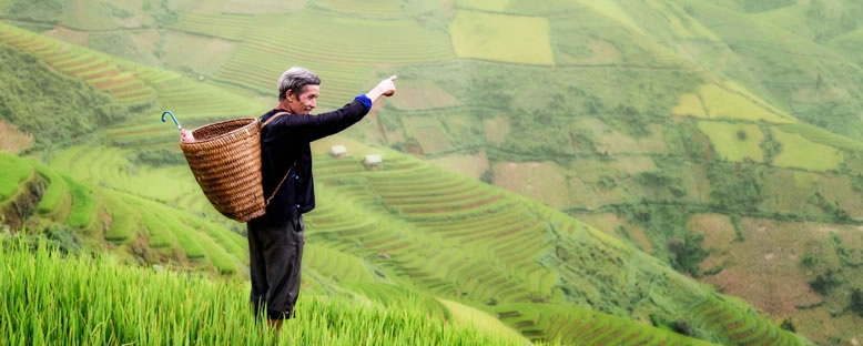 Taro Köyü - Ubud