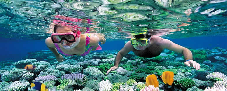 Dalış Keyfi - Cancun