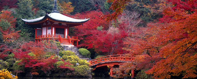 Sonbahar Manzarası - Kyoto