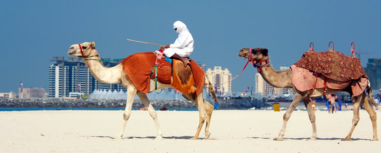 Jumeirah Plajı ve Deve Sürücüsü - Dubai