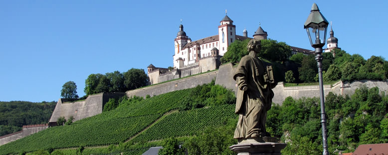 Kale - Würzburg
