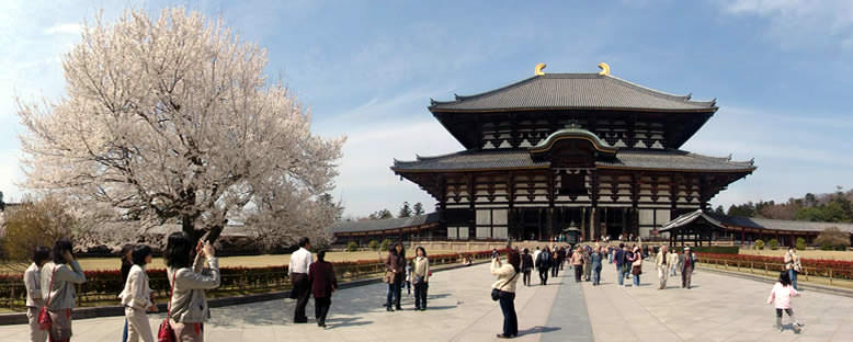 Todaiji Tapınağı - Nara