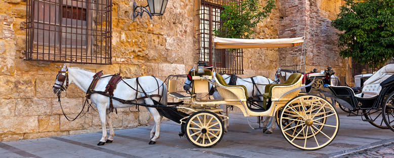 Geleneksel At Arabası - Cordoba