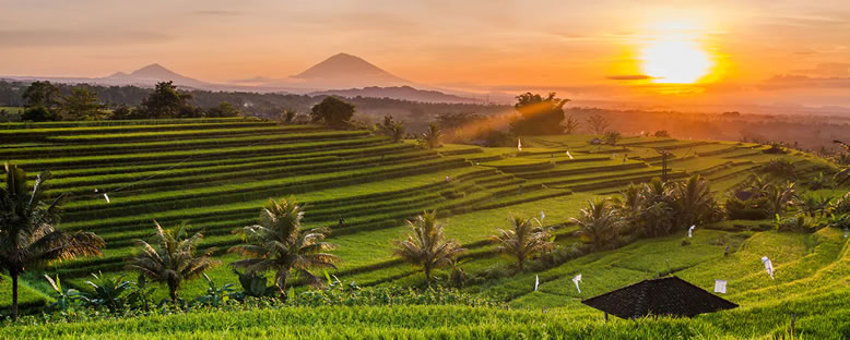 Bölge Manzarası - Ubud