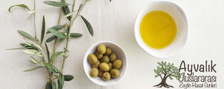 Ayvalık Uluslararası Zeytin Hasat Günleri