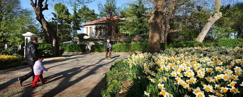 Baharda Yuşa Tepesi - İstanbul