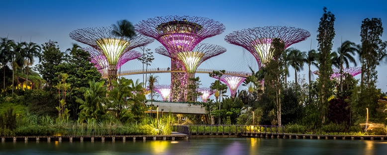 Akşam Işıklarıyla Körfez Bahçeleri - Singapur
