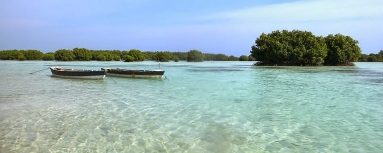 Bin Adalar - Jakarta
