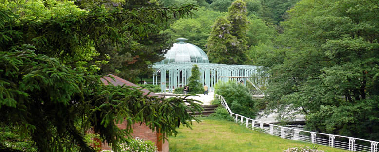 Borjomi Parkı - Bakuriani