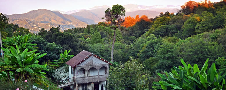 Botanik Bahçesi - Batum