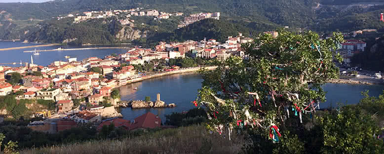 Boztepe Dilek Ağacı - Amasra