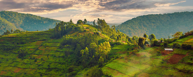 Bwindi Milli Parkı - Uganda