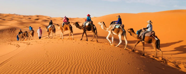 Çöl Safarisi - Zagora