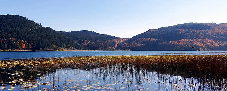 Doğa Parkı - Abant