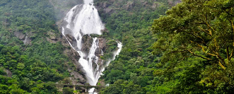 Dudhsagar Şelalesi - Goa