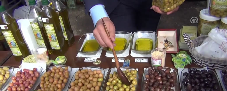 Festival Tezgahları - Ayvalık Zeytin Hasadı Günleri