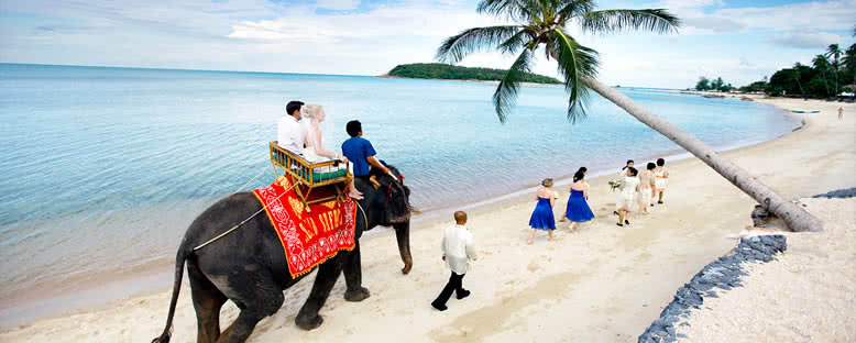 Fil Gezisi - Koh Samui