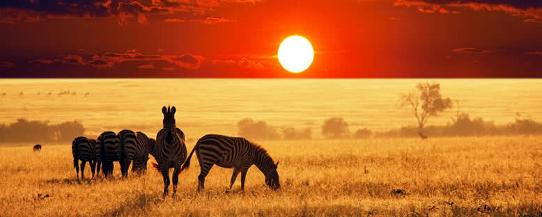 Günbatımı Manzaraları - Pilanesberg Ulusal Parkı