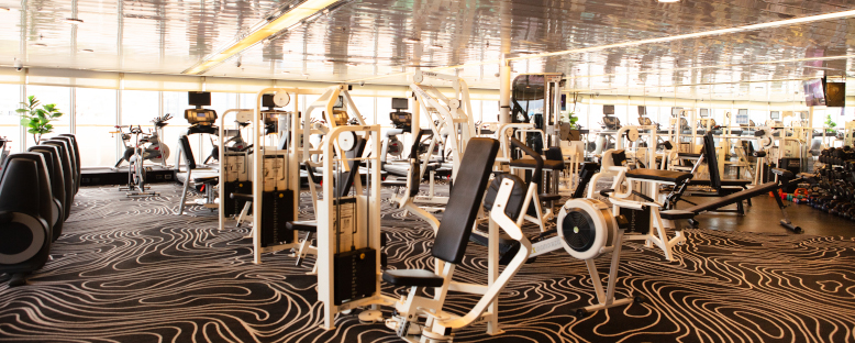 Gym - Celestyal Journey