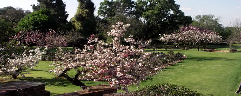 Botanik Bahçesi - Johannesburg