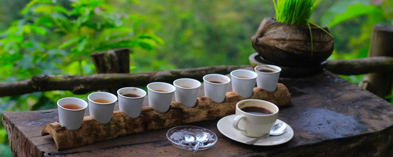 Kahve Tadımı - Ubud