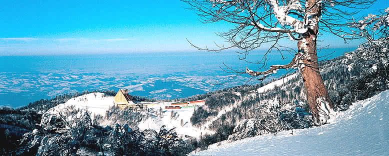 Dağ Manzarası - Kartepe
