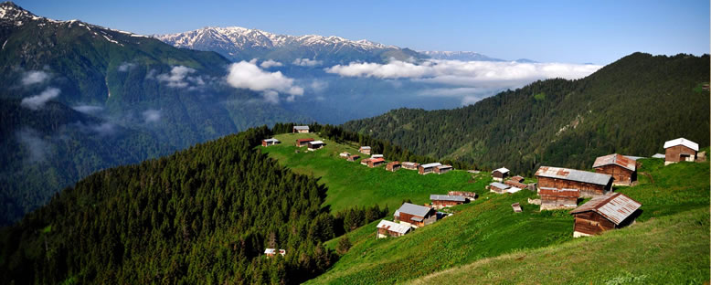 Kavron Yaylası Manzarası - Rize