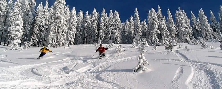 Kayakçılar - Poiana Brasov