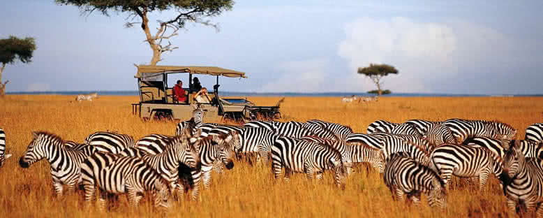 Safari Turları - Masai Mara