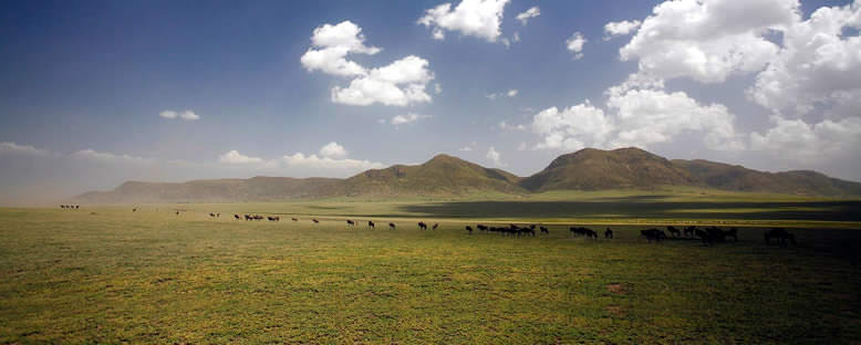 Serengeti'de Göç - Tanzanya