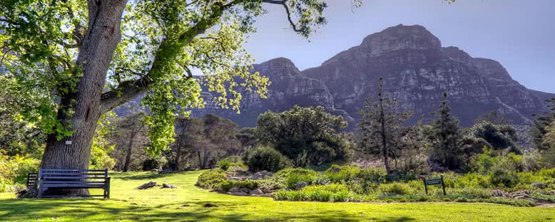 Kirstenbosch Bahçeleri - Cape Town
