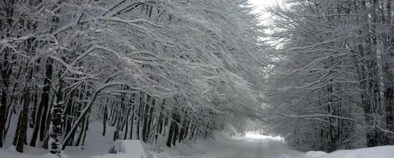 Kış Aylarında Ulusal Park - Mavrovo