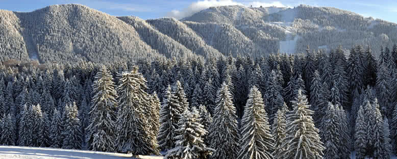 Kış Manzarası - Poiana Brasov