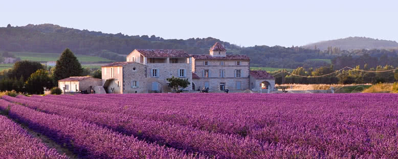 Lavanta Tarlaları - Aix En Provence