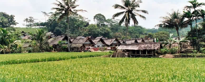 Naga Köyü Evleri - Baturaden
