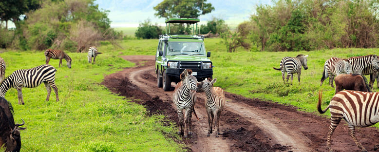 Ngongoro'da Safari - Tanzanya