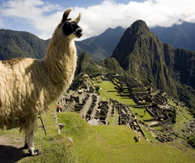 Machu Picchu1