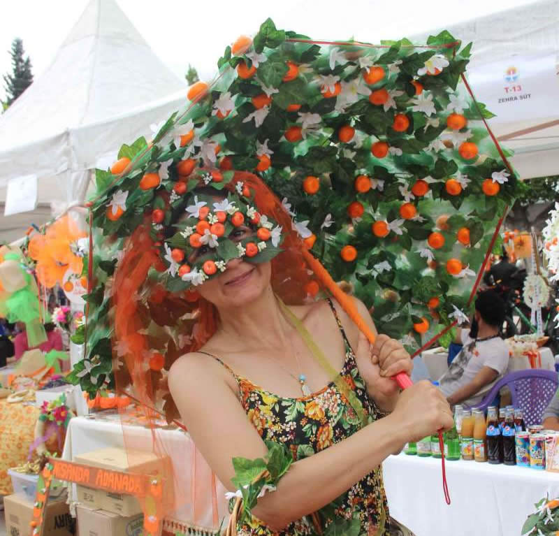 Portakal Çiçeği Festivali