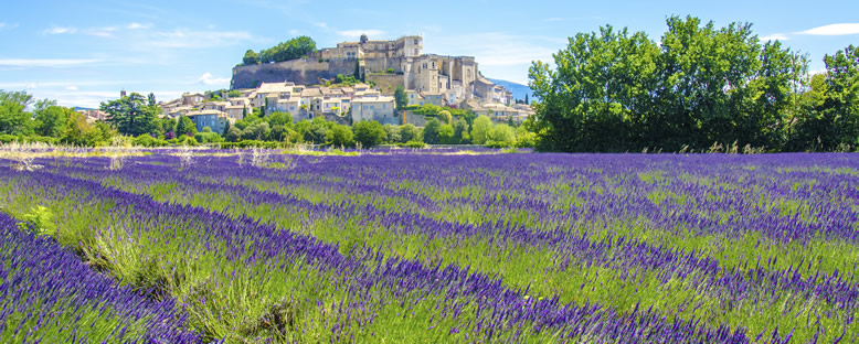 Provence Manzaraları - Aix-En-Provence