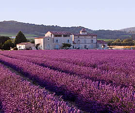 Aix En Provence Turları