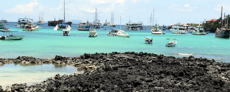 Santa Cruz Sahilleri - Galapagos
