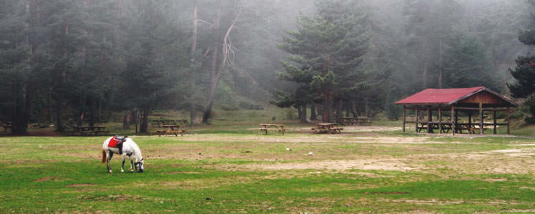 Tabiat Parkı - Abant