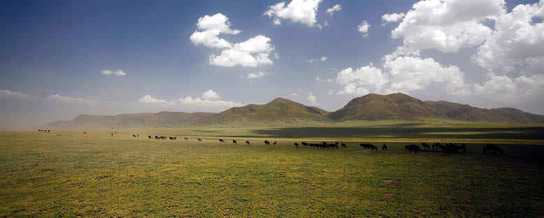 Serengeti'de Göç - Tanzanya
